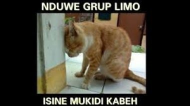 gallery/mukidi