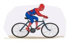 gallery/bike