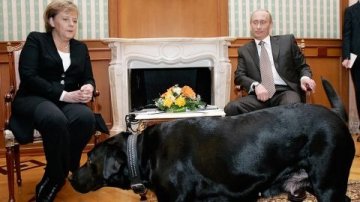 gallery/merkel-putin-dog-1
