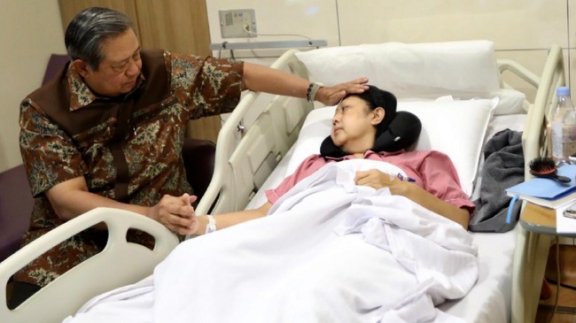 gallery/sby ani